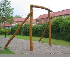 Robinia taubane - 30 m