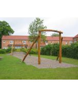 Robinia taubane - 20 m