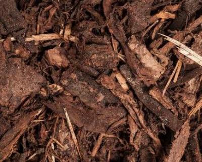 Bark som fallunderlag