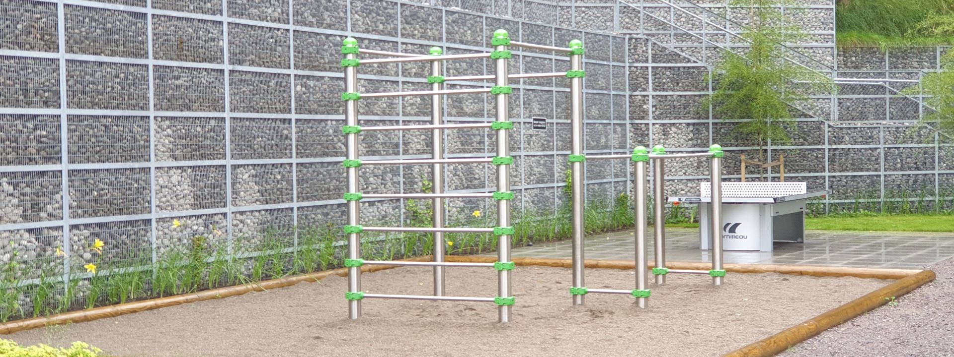 Calisthenics-fitness